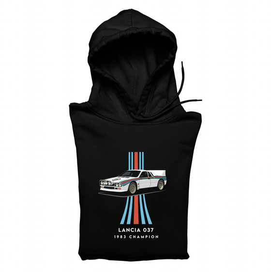 037 Hoddie